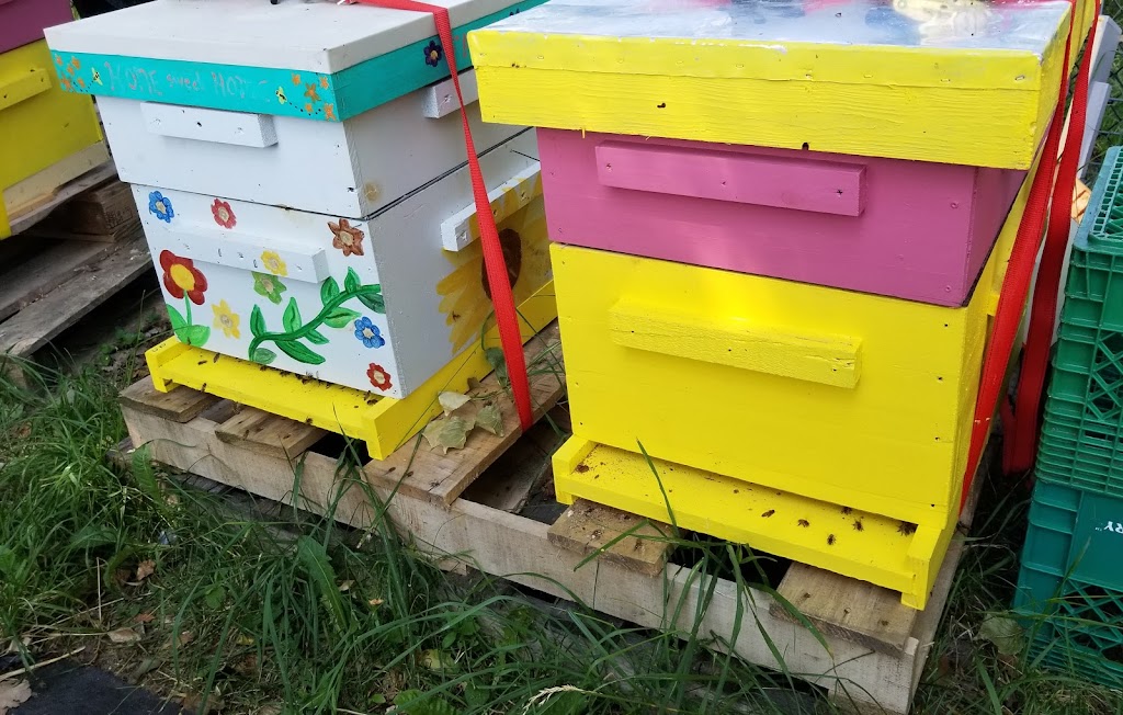 Le Beau Bees | 3143 Hwy 7 RR1, Reaboro, ON K0L 2X0, Canada | Phone: (514) 561-2503