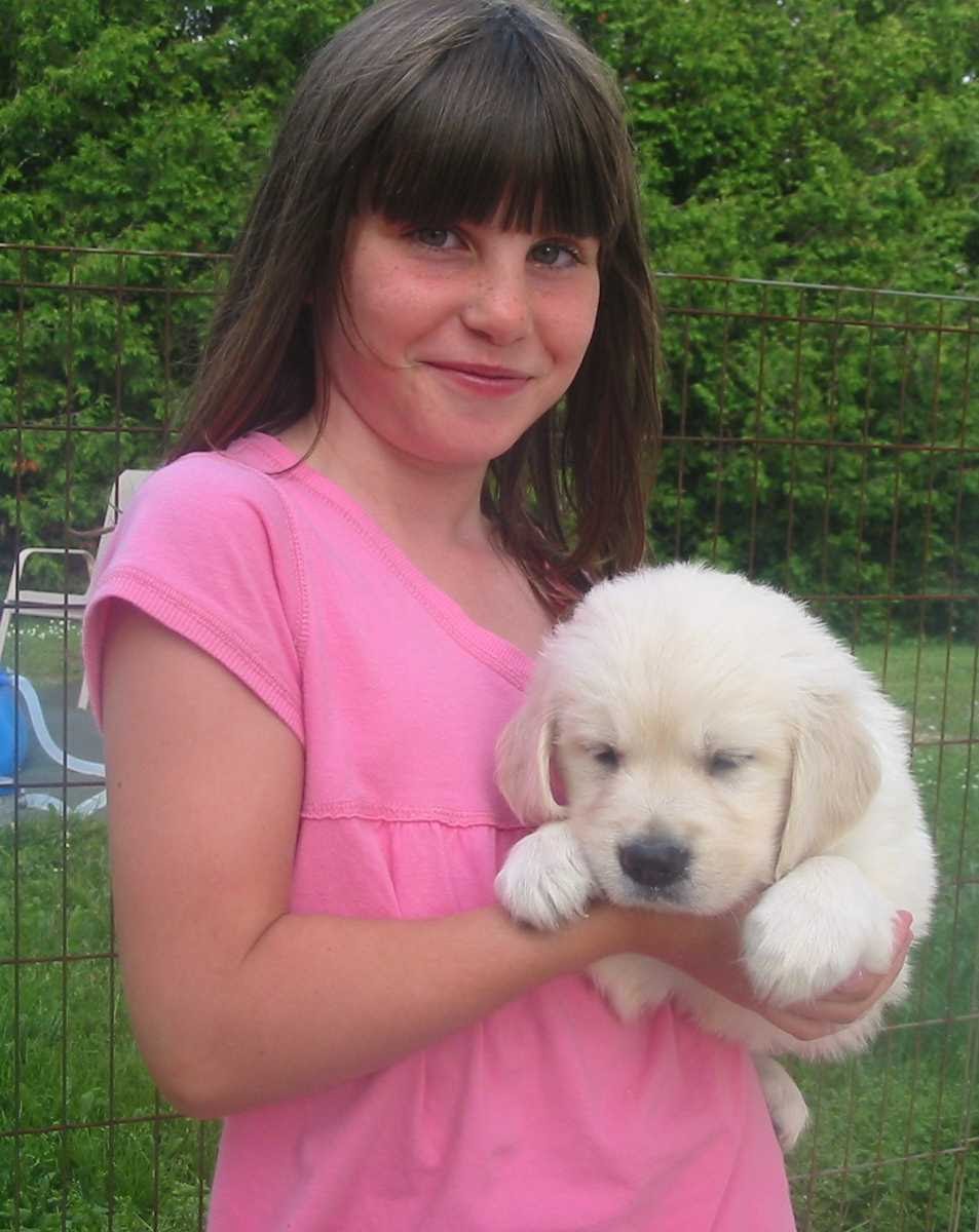 Goldenfield Kennel | 186623 Grey Rd 9, Dundalk, ON N0C 1B0, Canada | Phone: (519) 923-2442