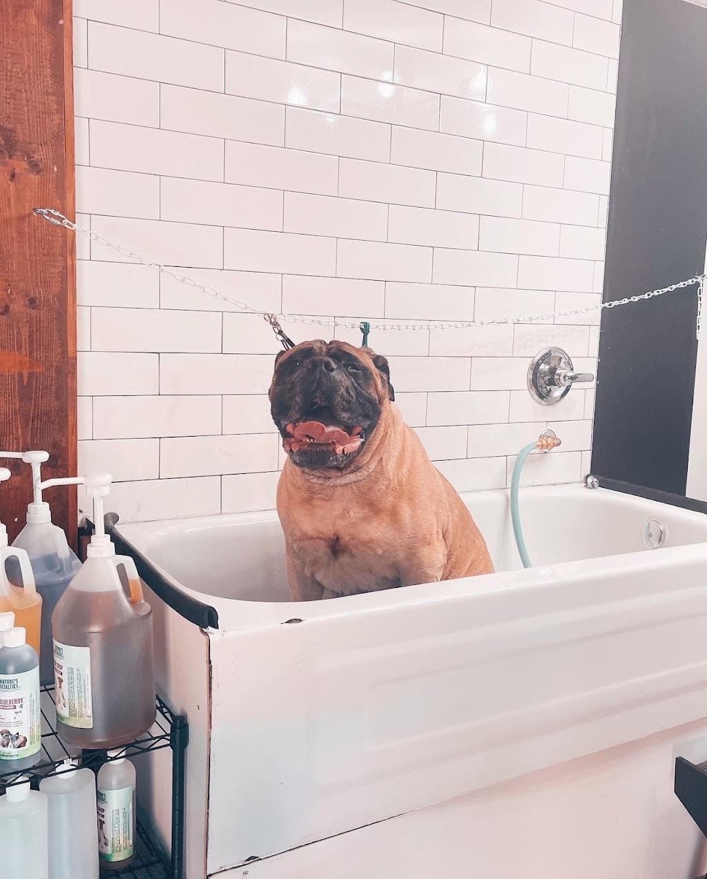 Silk & Bone Dog Grooming | 8010 Coleman St, Mission, BC V2V 6R5, Canada | Phone: (604) 908-9395