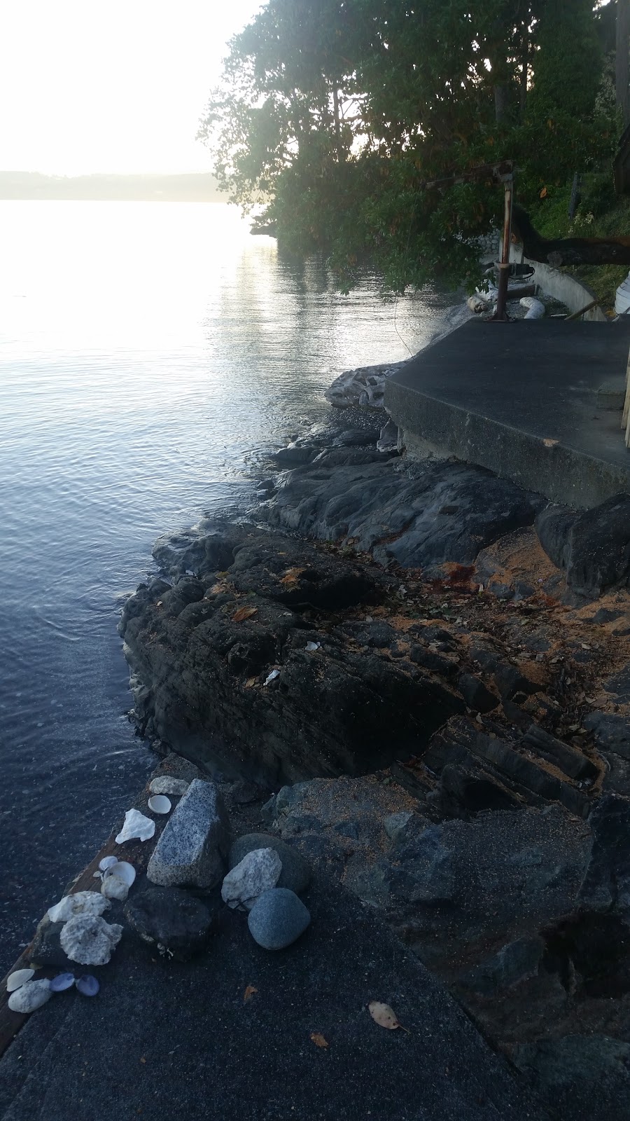 Inlet Beach House B&B | 10830 Madrona Dr, North Saanich, BC V8L 5P1, Canada | Phone: (250) 656-3239