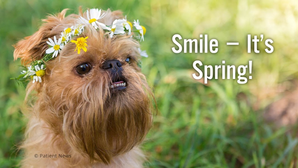 Erinwood Dental - Eglinton Location | 295 Eglinton Ave E #5a, Mississauga, ON L4Z 3K6, Canada | Phone: (905) 568-1988