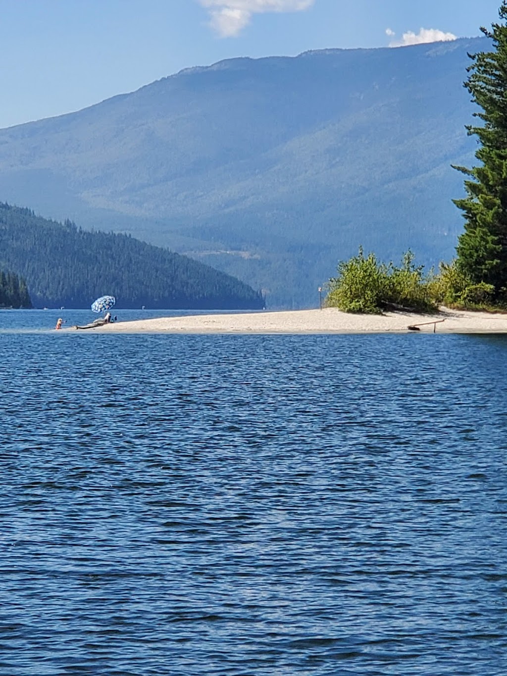 Daniels Store and Marina | 1142 Seymour Arm Bay Rd, Seymour Arm, BC V0E 2V2, Canada | Phone: (778) 765-1609