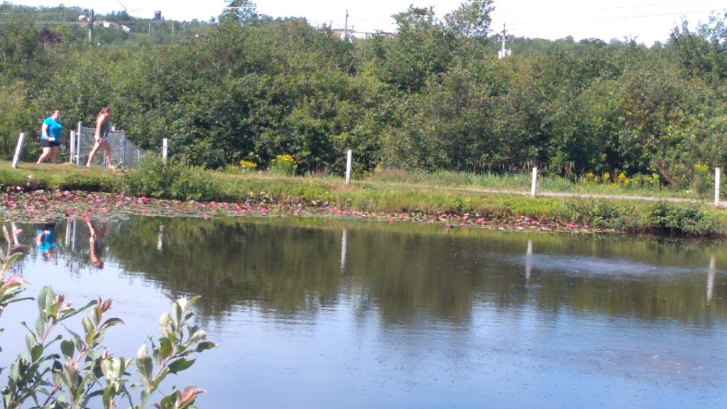 Tidal Bore Inn | 29 Truro Heights Rd, Lower Truro, NS B6L 1W7, Canada | Phone: (902) 895-9241