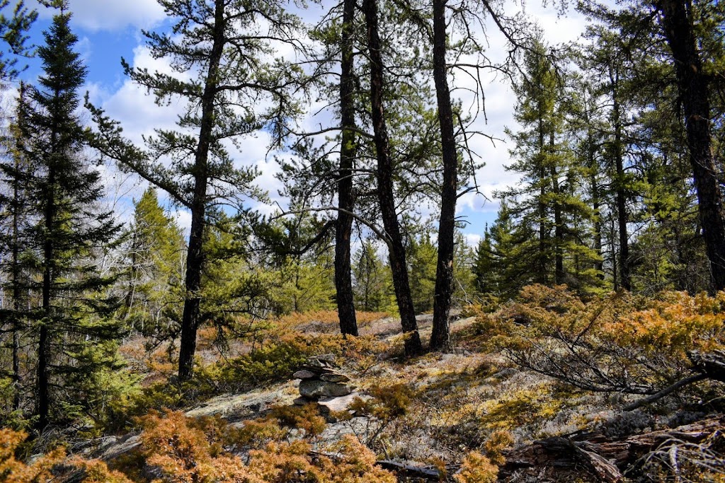 Bear Lake Hiking Trail | Provincial Trunk Hwy 44, Falcon Beach, MB R0E 0N0, Canada | Phone: (204) 369-3157