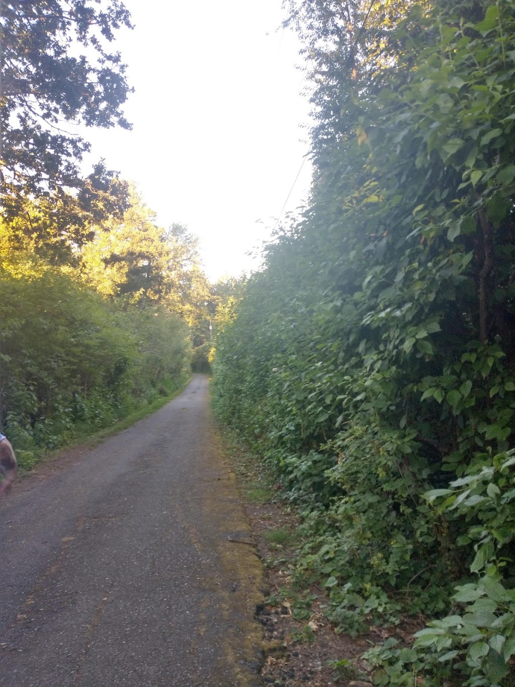 Lillian Hoffar Park | 10563 McDonald Park Rd, North Saanich, BC V8L 3J2, Canada