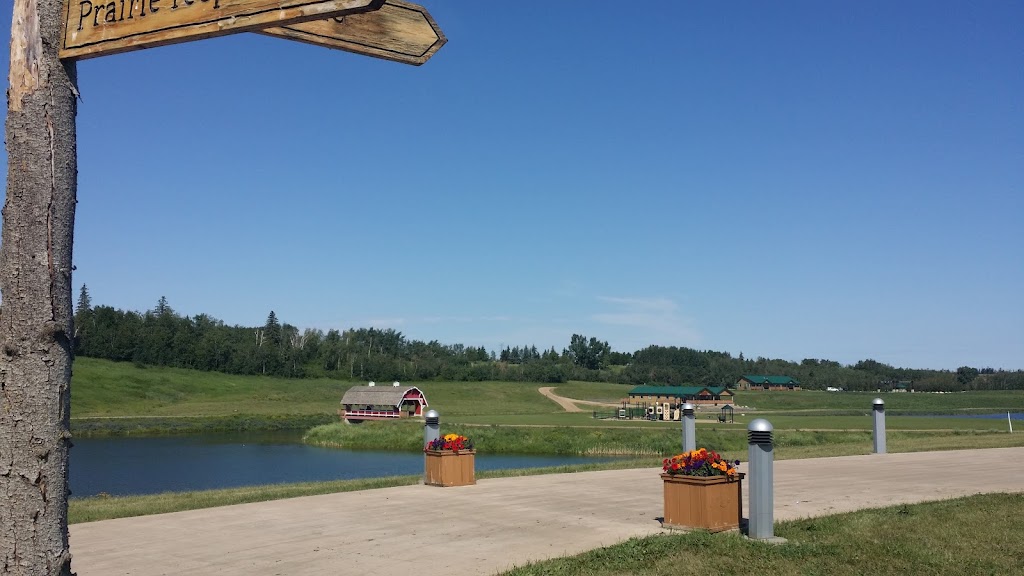 Our Lady Queen of Peace Ranch Northern Alberta Ltd | 6c8, 903 153 Ave NE, Edmonton, AB T5Y 6K8, Canada | Phone: (780) 475-7259