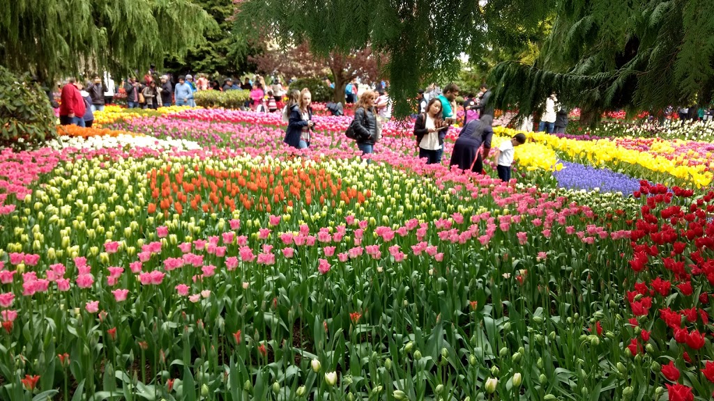 Wesburn Park | 4781 Parkwood Ave, Burnaby, BC V5G 3C6, Canada | Phone: (604) 294-7450