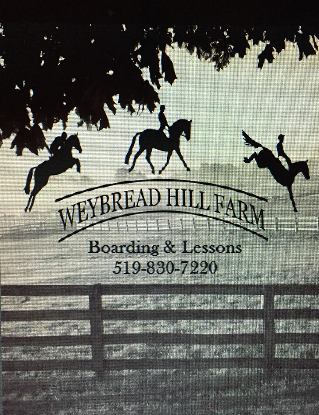 Weybread Hill Farm | 111150 11th Line East, Erin, ON L8W 7A4, Canada | Phone: (519) 830-7220