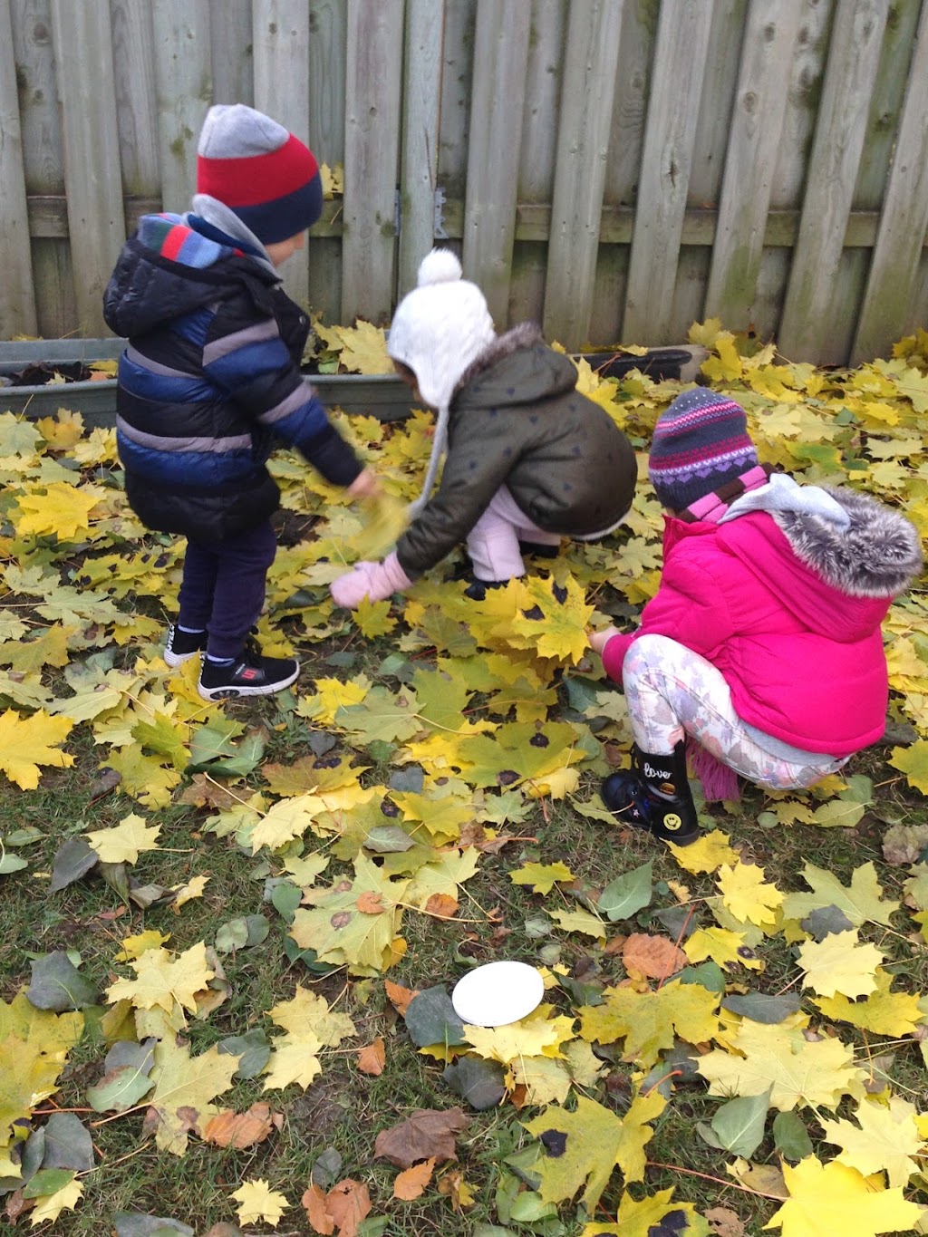 Sanas Blossom Home Daycare | 7032 Chem. Guelph, Côte Saint-Luc, QC H4W 1G9, Canada | Phone: (514) 513-9128
