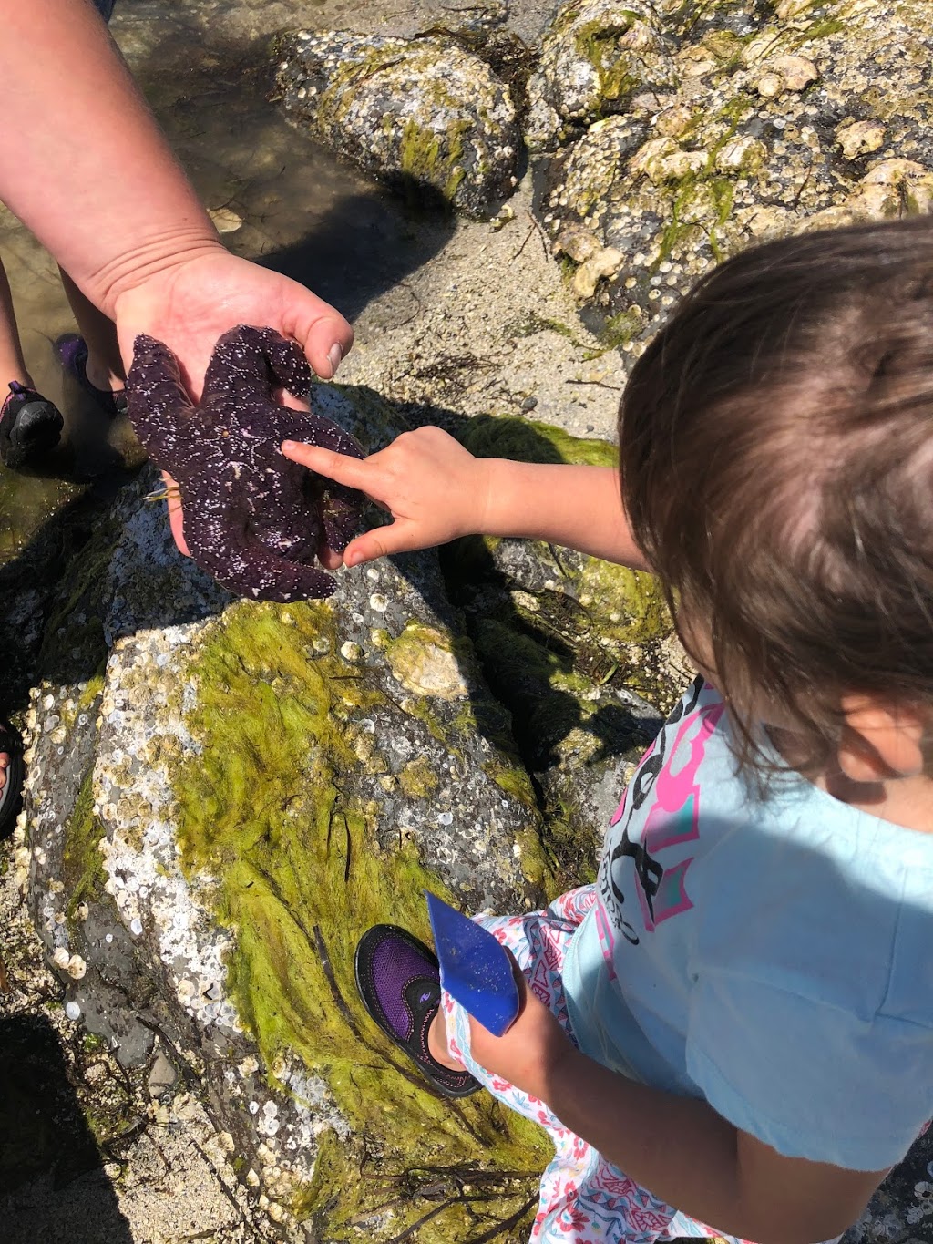 Creative Angels Daycare | 82 S Shore Rd, Lake Cowichan, BC V0R 2G0, Canada | Phone: (250) 932-1311