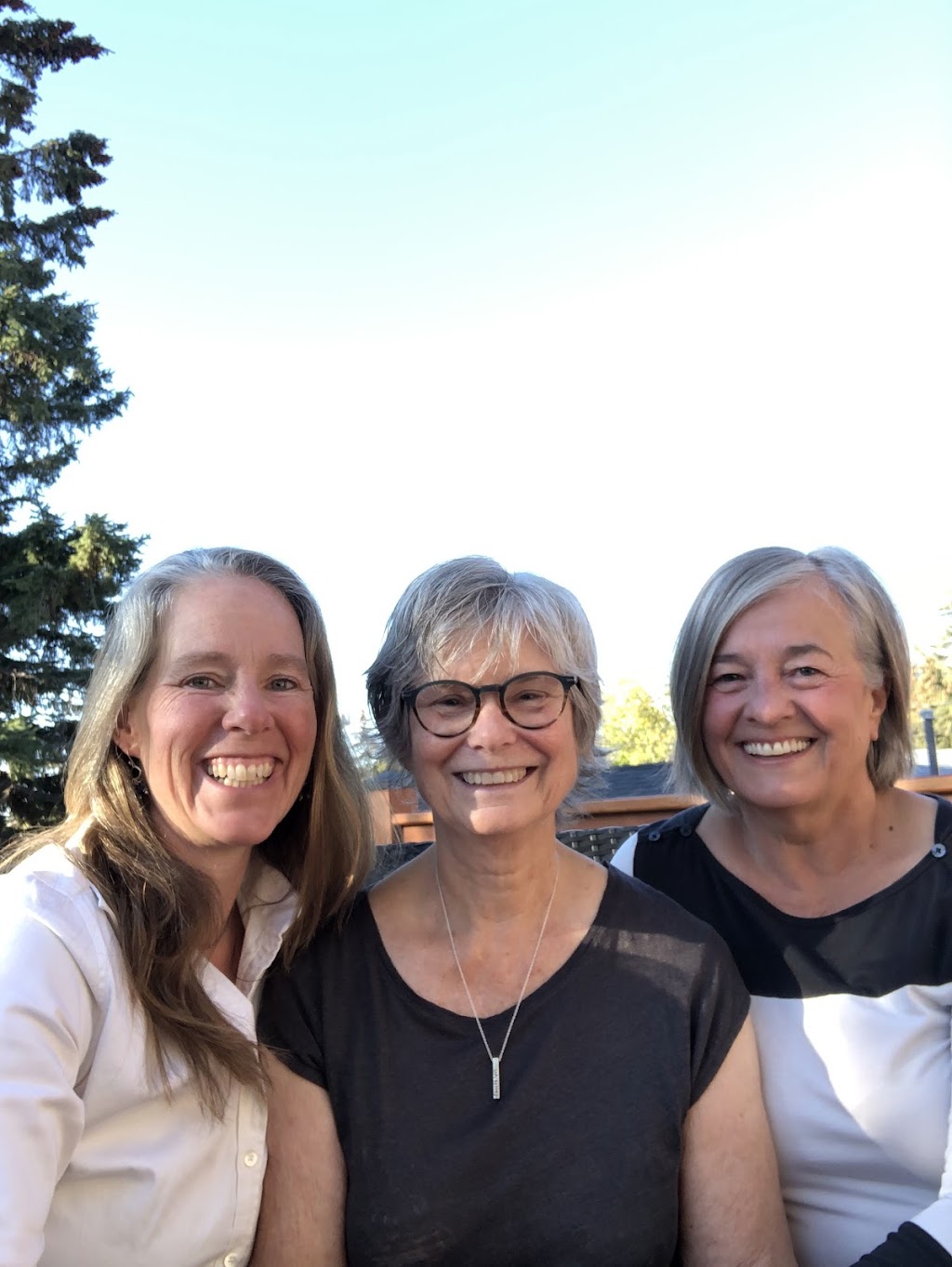 Parents and Babes Clinic Biodynamic Craniosacral Therapy (BCST) | 335 Norseman Rd NW, Calgary, AB T2K 5N8, Canada | Phone: (403) 909-9744