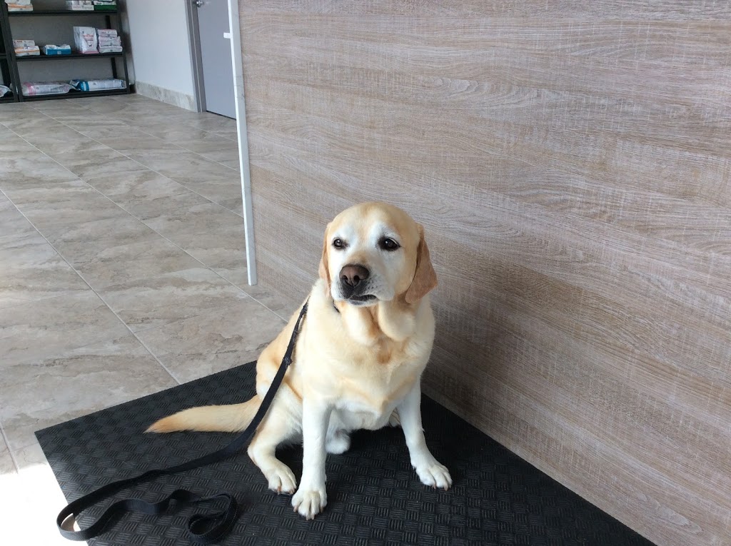 Eagleson Veterinary Clinic | 46-500 Eagleson Rd, Kanata, ON K2L 2X1, Canada | Phone: (613) 383-8381