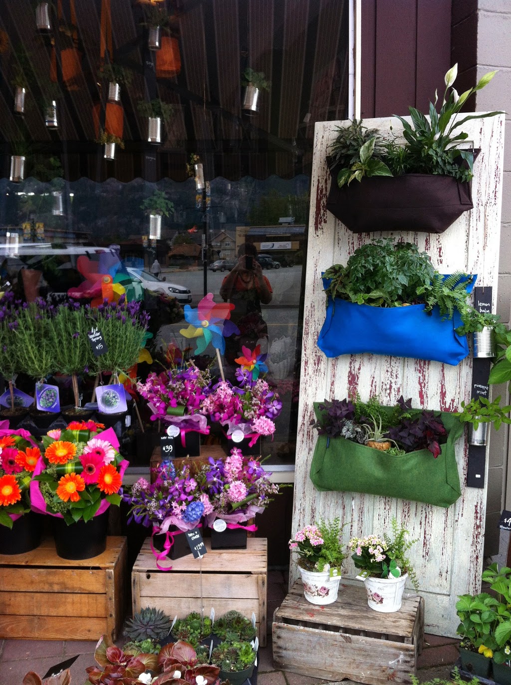 Billies Flower House | 38082 Cleveland Ave, Squamish, BC V8B 0B2, Canada | Phone: (604) 892-9232