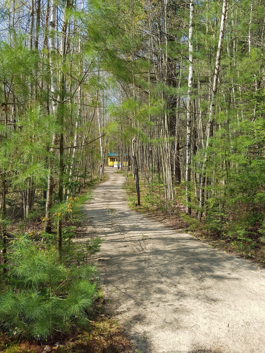 Camping Des Pins | 379 Boulevard Kingsey, Kingsey Falls, QC J0A 1B0, Canada | Phone: (819) 839-2648