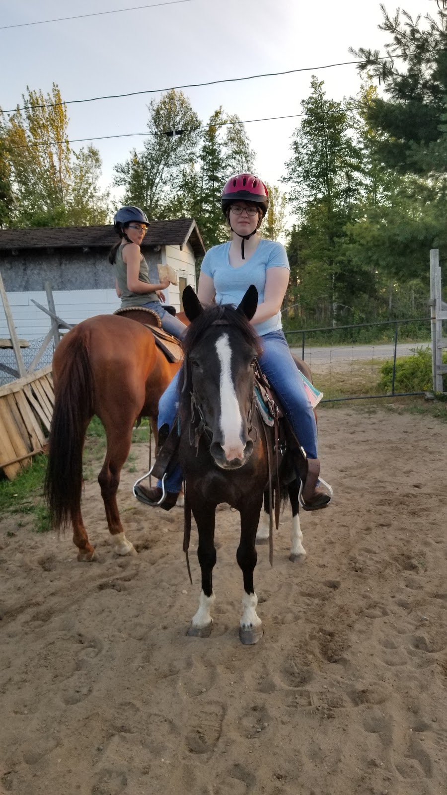 Saddle Tramp Stables | 512 Lockstead Road, Lockstead, NB E9B 1L8, Canada | Phone: (506) 627-6811