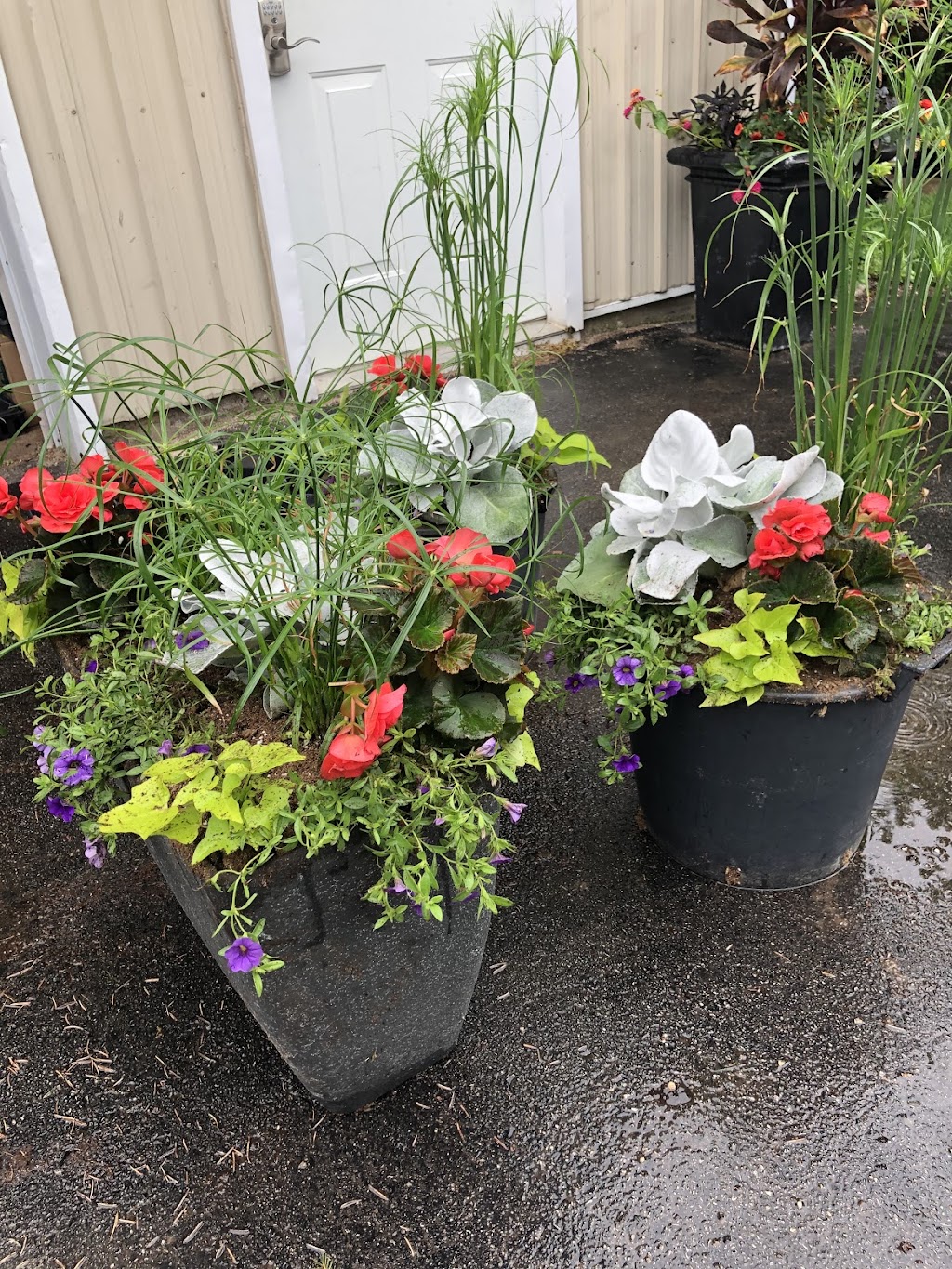 Helenas Gardening | 68 Nelson St, Mitchell, ON N0K 1N0, Canada | Phone: (519) 276-1749
