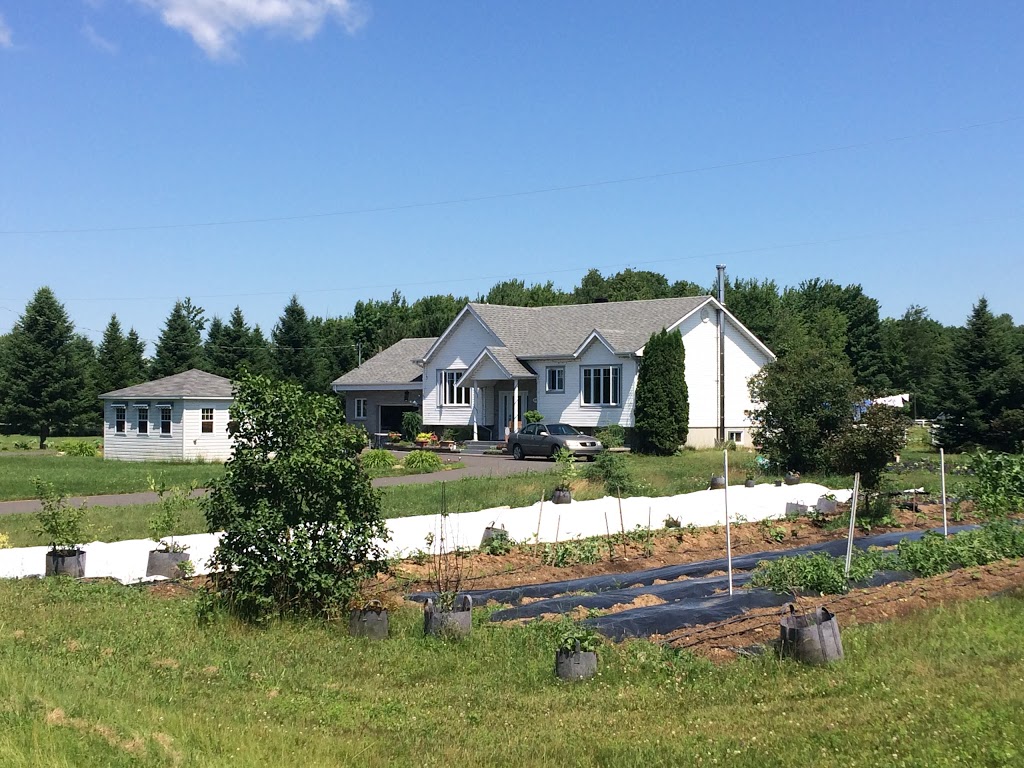 Jardins du Coeur et des Racines | 696 11e Rang, Saint-Eugène-de-Grantham, QC J0C 1J0, Canada | Phone: (418) 446-0503