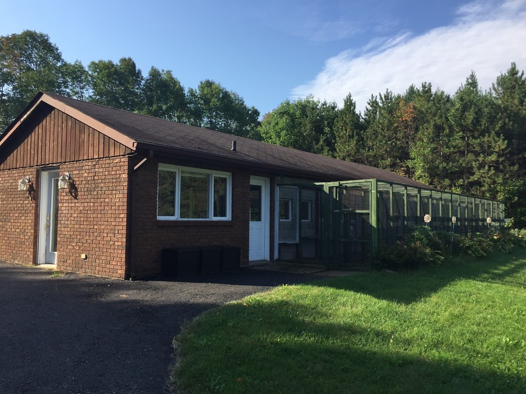 The Royal Pets Hotel and Spa | 2072 3 Line N, Shanty Bay, ON L0L 2L0, Canada | Phone: (705) 726-5034