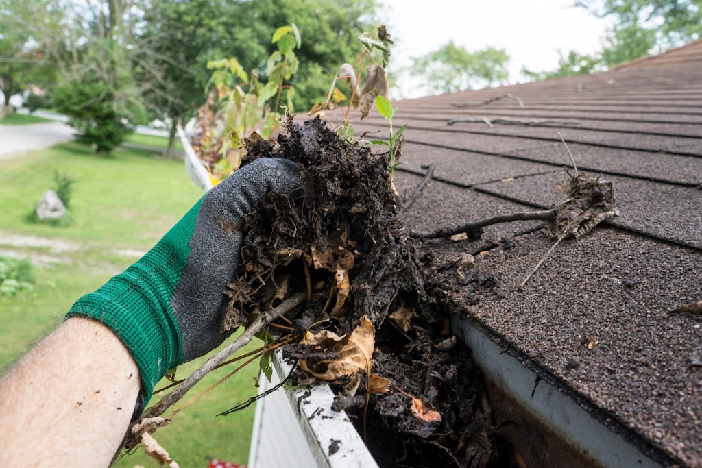 Bears Claw Roofing | 29 Shuter Ln, Brampton, ON L6Y 5N4, Canada | Phone: (416) 918-4008
