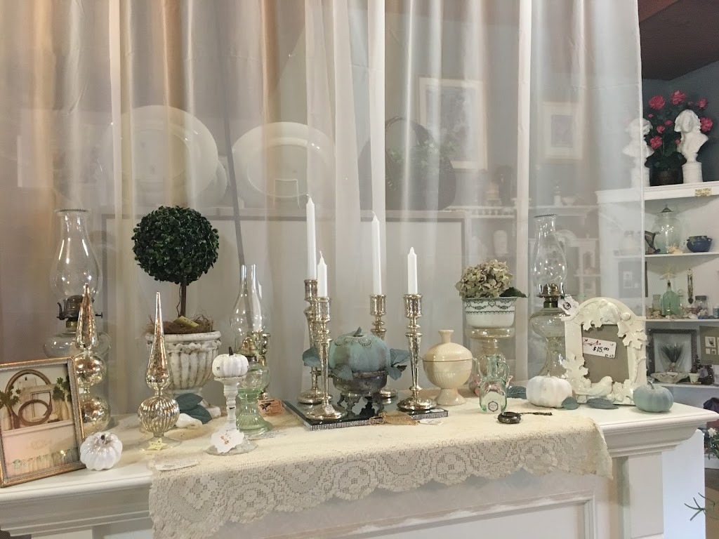 Wish I May | #442542, Concession Rd 21, Georgian Bluffs, ON N0H 2T0, Canada | Phone: (519) 534-9876