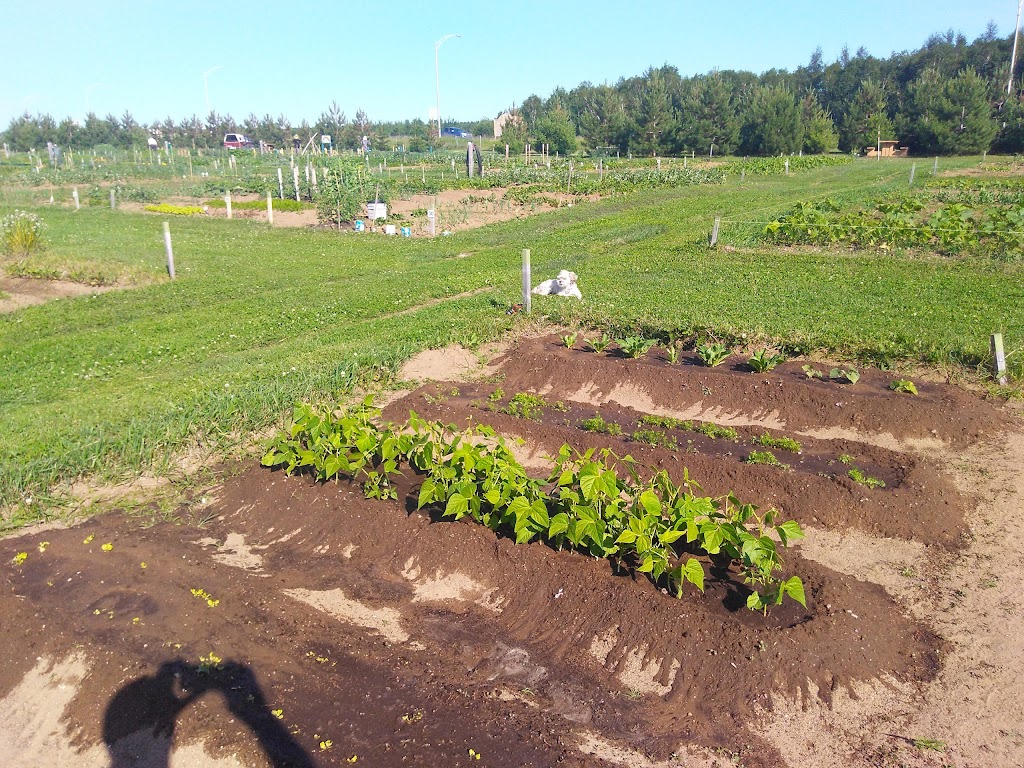 communautaire de Saint-Félicien Garden | 657, 627 Boulevard Sacré Coeur, Saint-Félicien, QC G0W, Canada | Phone: (418) 307-3017