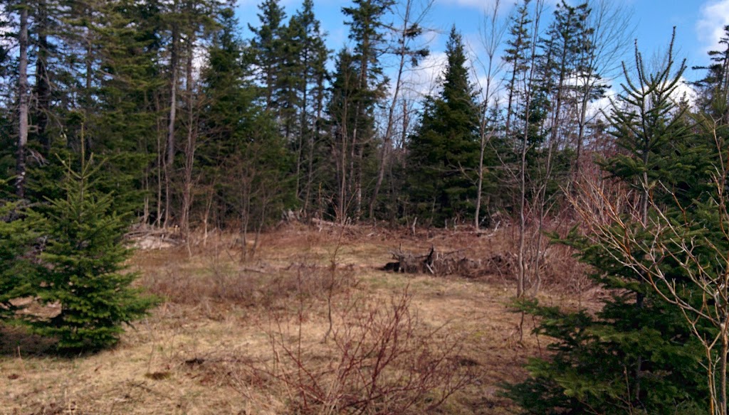 Beaver Mountain Provincial Park | 472 Beaver Mountain Rd, Antigonish, NS B2G 2K8, Canada | Phone: (902) 863-4513