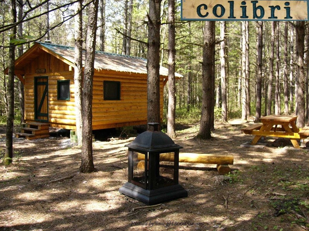 Parc régional du Mont Ham | 103 Route 257 Ouest, Saint-Joseph-de-Ham-Sud, QC J0B 3J0, Canada | Phone: (819) 828-3608