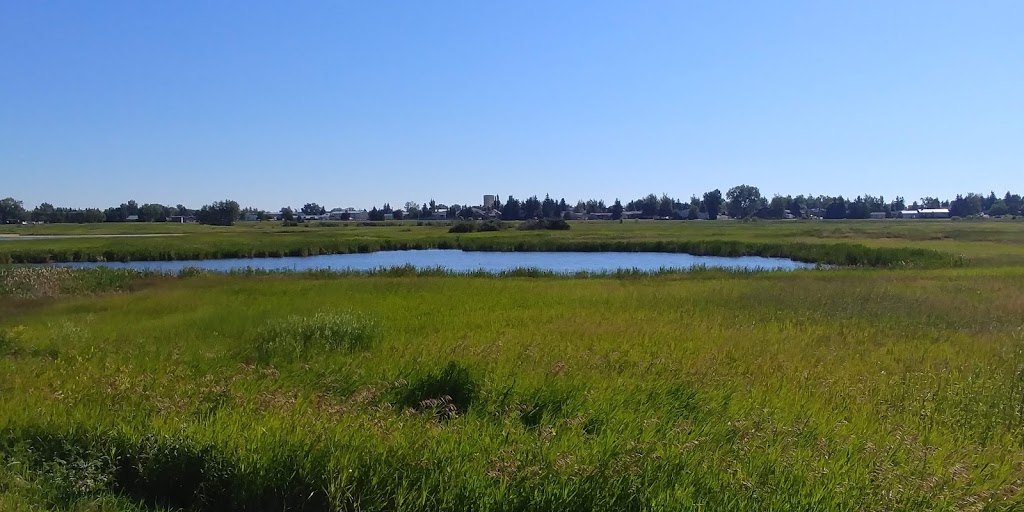 Elmer & Phyllis Gray Park | 51°0302. 113°2359., 5 7 Ave SE, Calgary, AB T2A 5E4, Canada