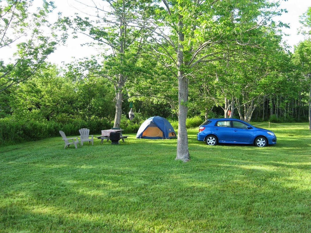 Linwood Harbour Campground | 11089 Hwy 4, Linwood, NS B0H 1P0, Canada | Phone: (866) 661-9145