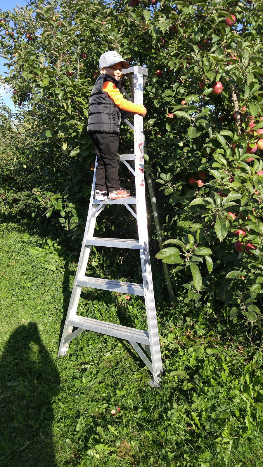 Verger Trois Pommes | 470 Rue Principale, Rougemont, QC J0L 1M0, Canada | Phone: (450) 469-0858
