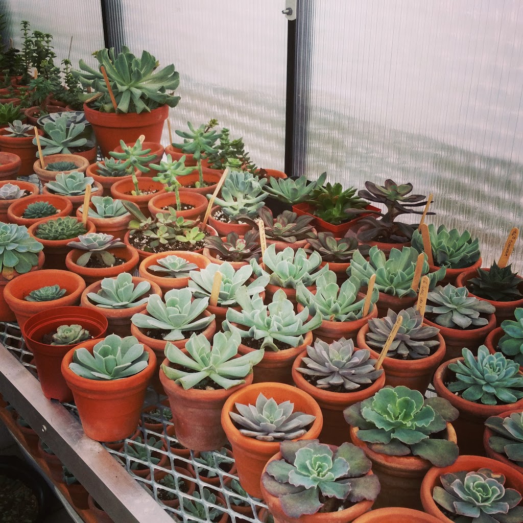 Grow Something | 165 King Edward Ave, East York, ON M4C 5J8, Canada | Phone: (416) 898-7646