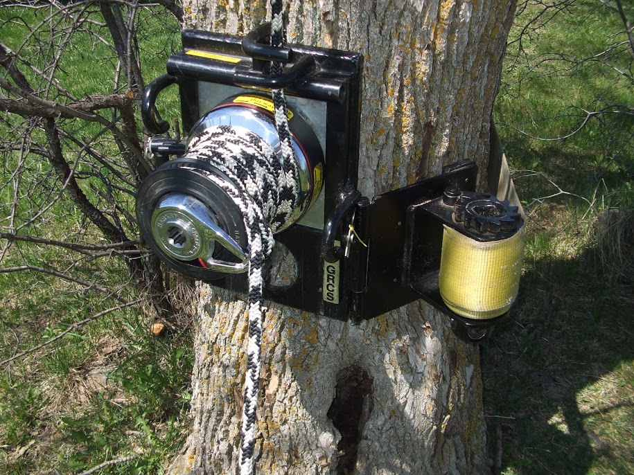 Capella Tree Service | 3 Avra Ct, Guelph, ON N1H 7B2, Canada | Phone: (519) 830-6634