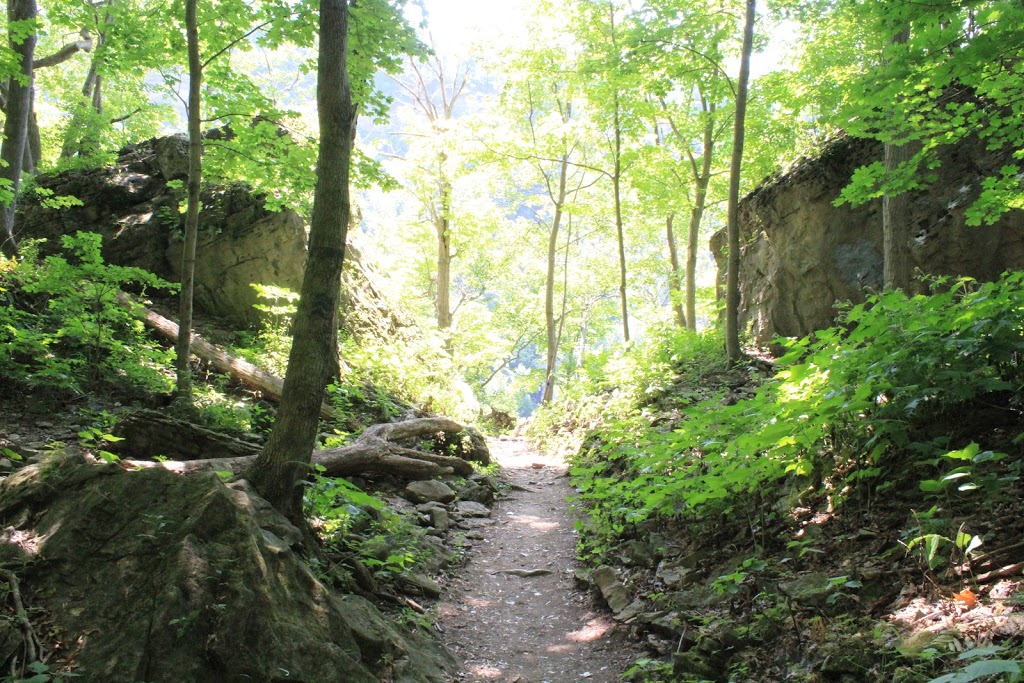 Niagara Glen Nature Centre | 3050 Niagara Pkwy, Niagara Falls, ON L2E, Canada | Phone: (905) 354-6678