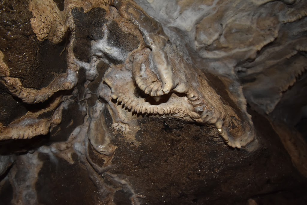 Tyendinaga Caves | 2623 Harmony Rd, Belleville, ON K8N 4Z6, Canada | Phone: (613) 919-5686