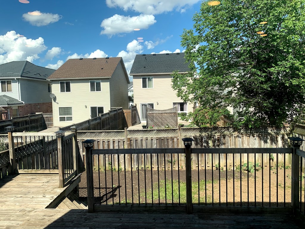Complete Stump & Tree Removal Inc. | 457 Regency Crescent, Waterloo, ON N2T 1P2, Canada | Phone: (519) 590-8178
