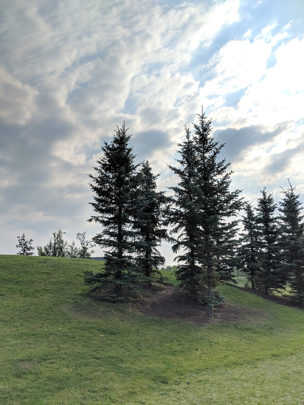 Blackmud Creek Park | Blackmud Creek, Edmonton, AB T6W 1J8, Canada