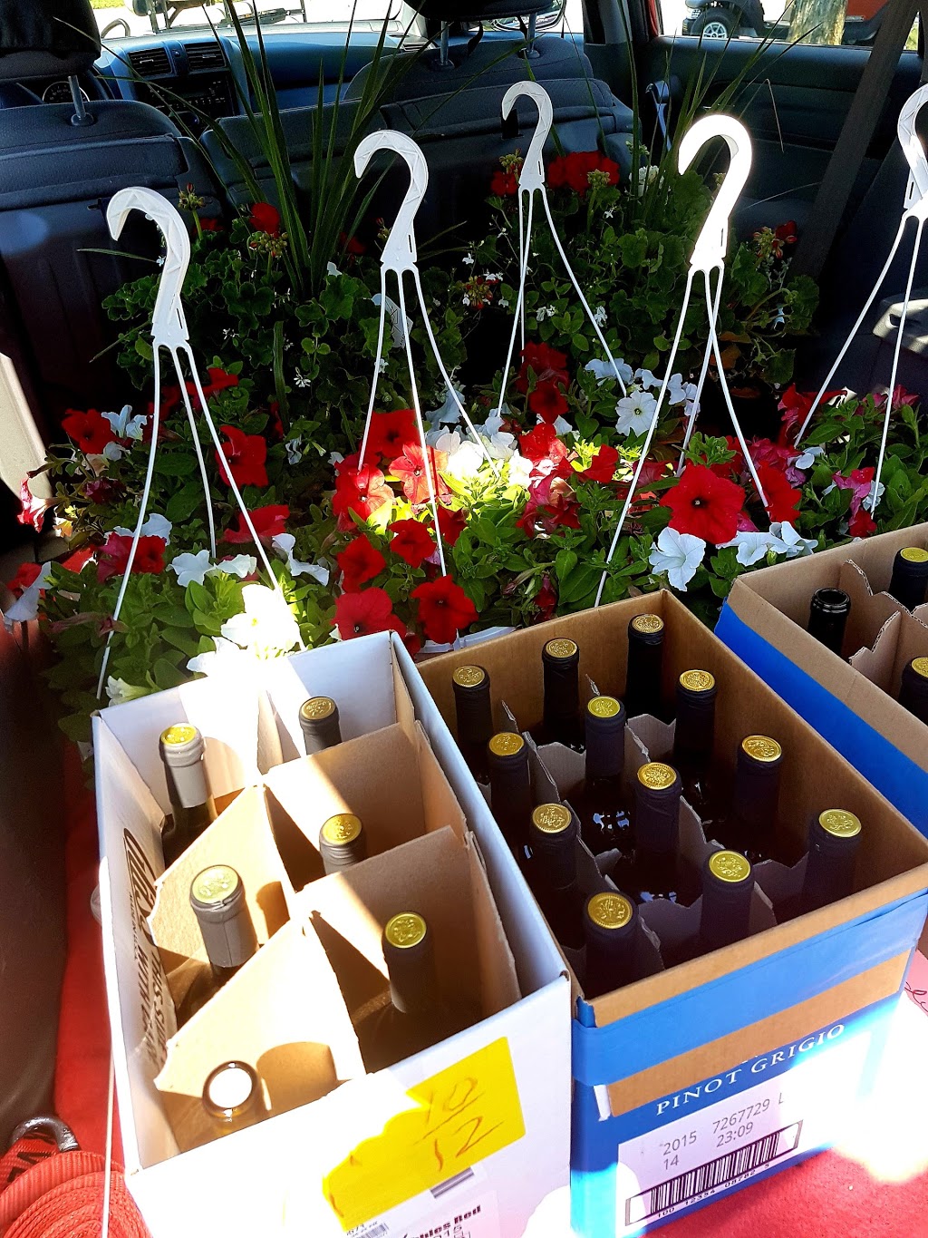 Thousand Islands Wine Cellars | 839 Stone St N, Gananoque, ON K7G 1Z7, Canada | Phone: (613) 382-8999