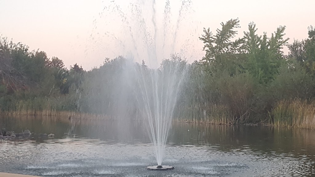 Swan Lake Park | 25 Swan Park Rd, Markham, ON L6E 1Z5, Canada | Phone: (905) 477-5530