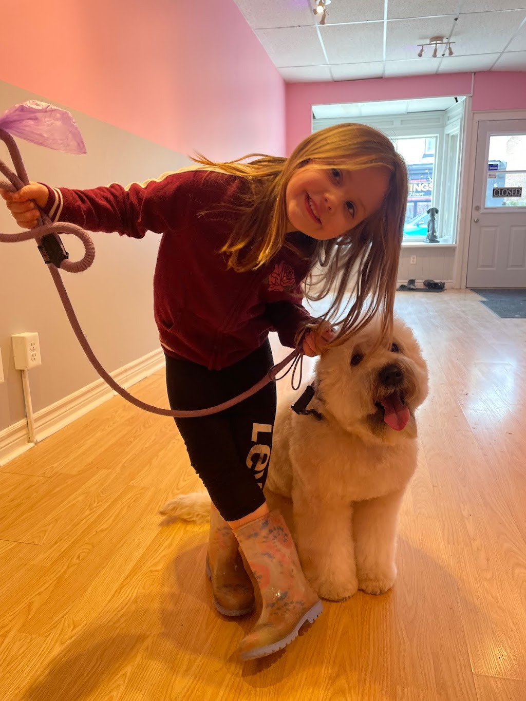 Syd’s Barkin Beauties | 288 Josephine St, Wingham, ON N0G 2W0, Canada | Phone: (519) 722-0916