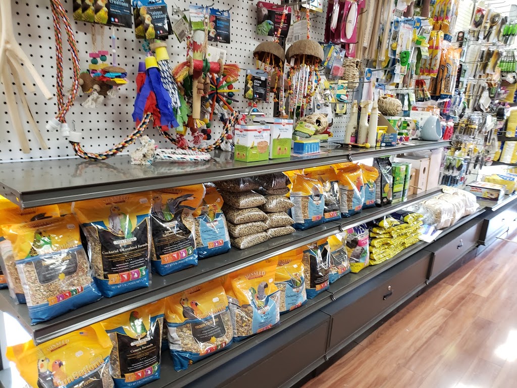 The Pampered Pet | 2446 Bank St, Ottawa, ON K1V 1A4, Canada | Phone: (613) 521-6272