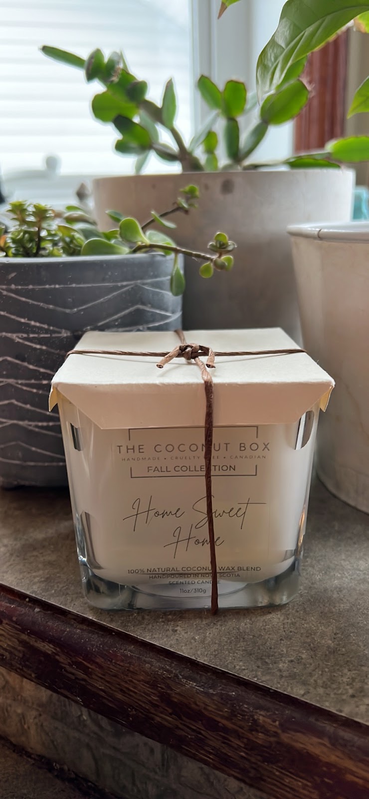 The Coconut Box | 676 Northfield Rd, Blockhouse, NS B0J 1E0, Canada | Phone: (902) 904-0171