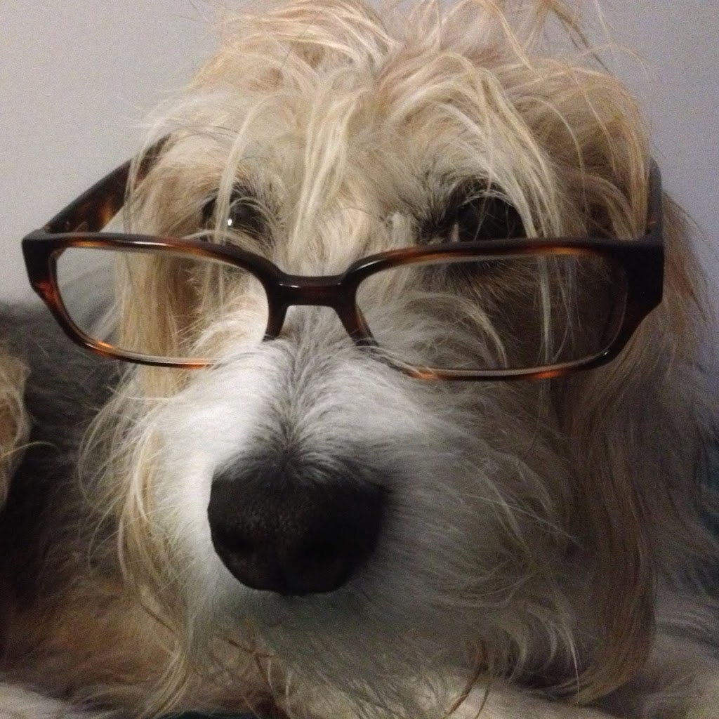PAWS4Health | 51 Sarah Crescent, Dartmouth, NS B2W 4Z2, Canada | Phone: (902) 435-2528