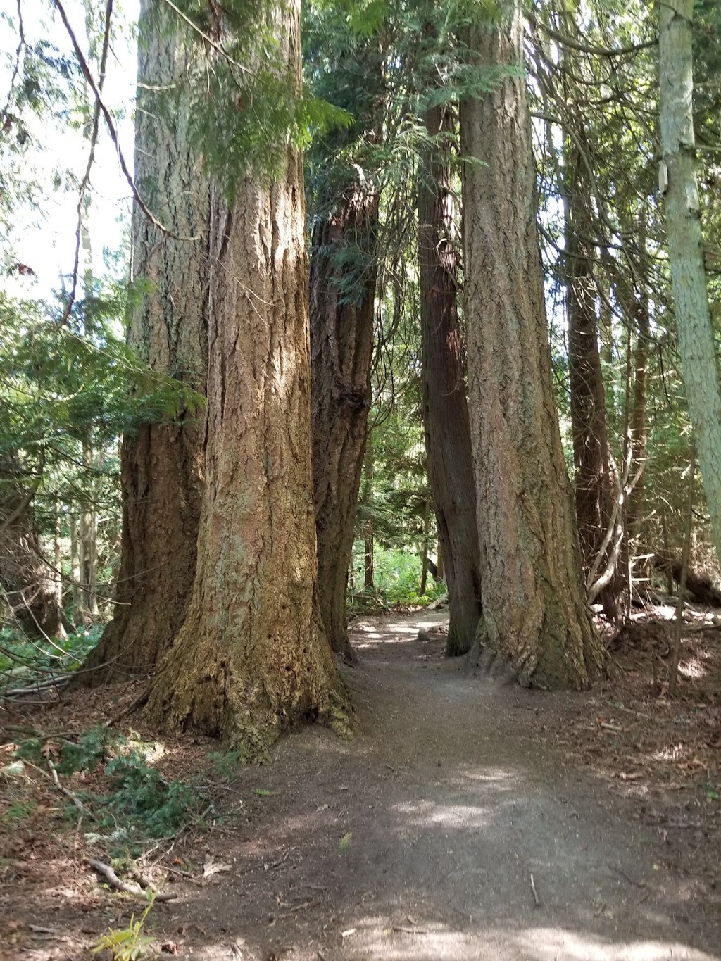 Askew Park | 9827 Chemainus Rd, Chemainus, BC V0R 1K1, Canada