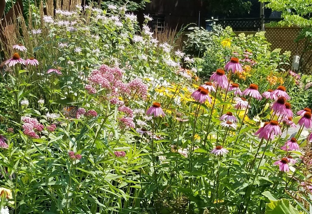 Plan(t) Wise Garden and Landscape Design | 103 Adelaide St, Port Colborne, ON L3K 2W4, Canada | Phone: (905) 375-9383