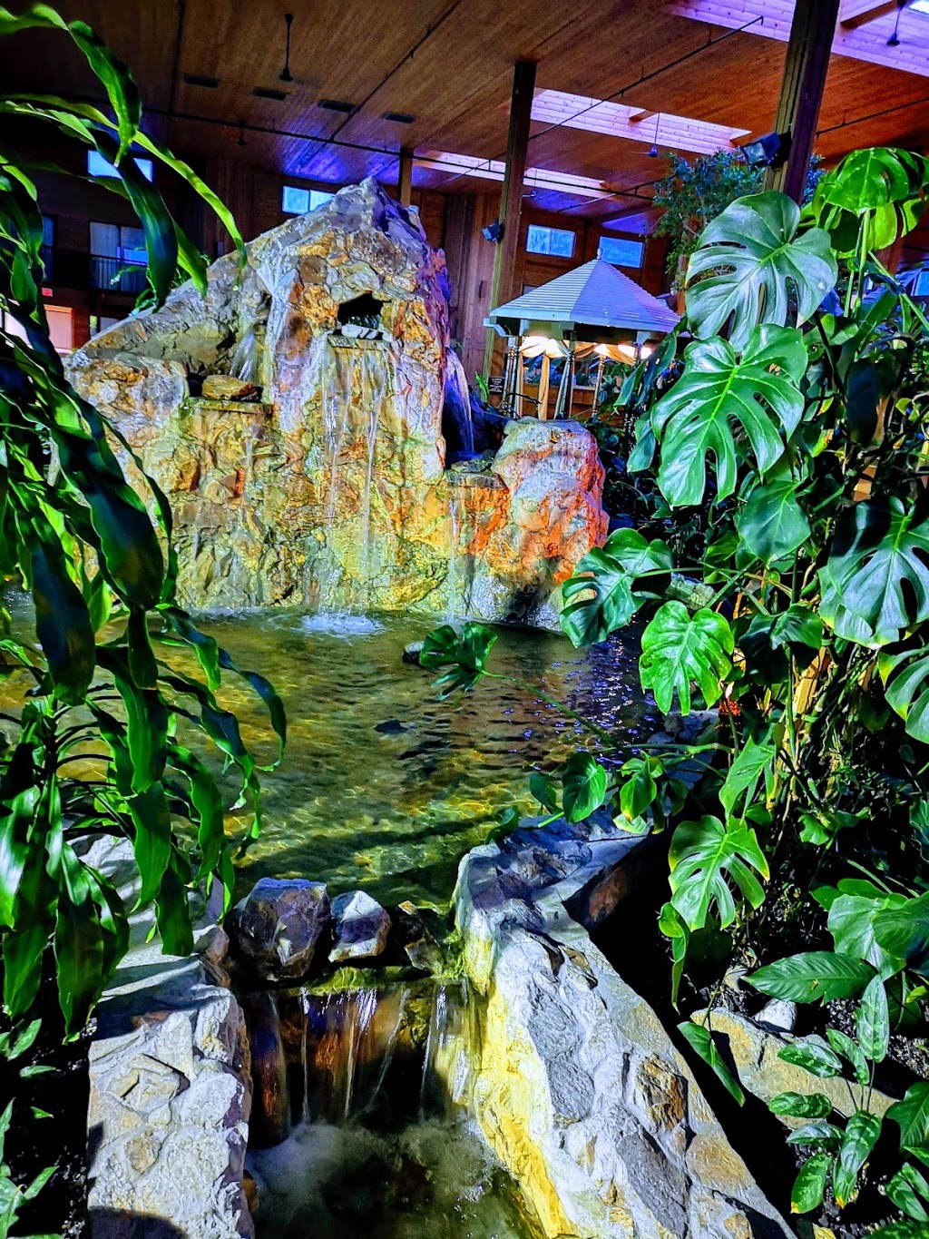 Atrium Restaurant at Best Western Rainbow Country Inn | 43971 Industrial Way, Chilliwack, BC V2R 3A4, Canada | Phone: (604) 795-3828