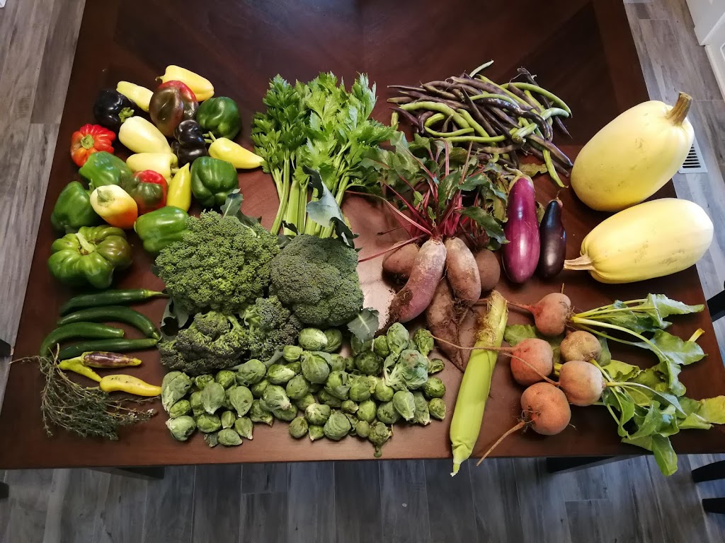 The Herb Patch | 1850 Brentwood Rd, Kelowna, BC V1P 1H2, Canada
