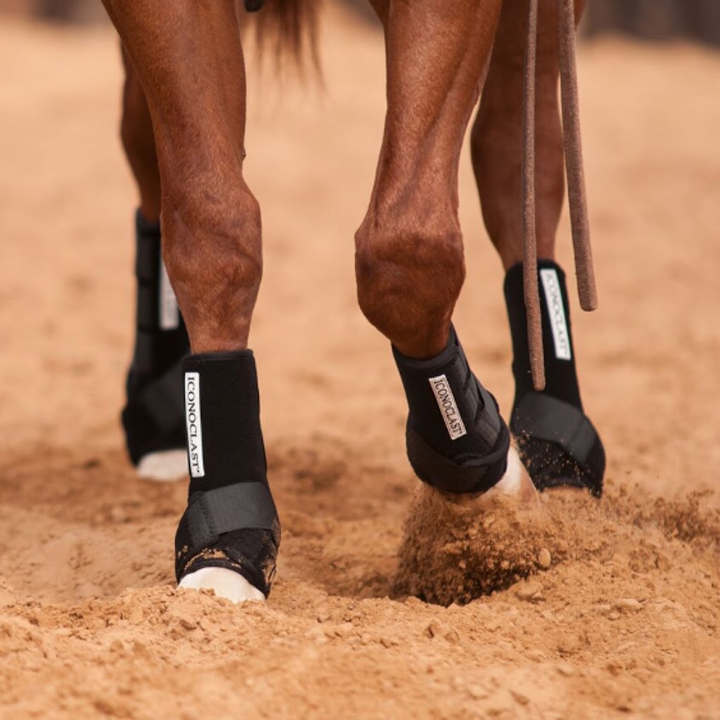 Natural Equine Connection | 594 Heddle Crescent, Newmarket, ON L3X 2J5, Canada | Phone: (416) 435-6651