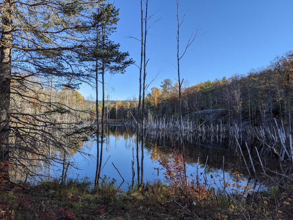 Driftwood Provincial Park | 39520 ON-17, Stonecliffe, ON K0J 2K0, Canada | Phone: (613) 586-2553
