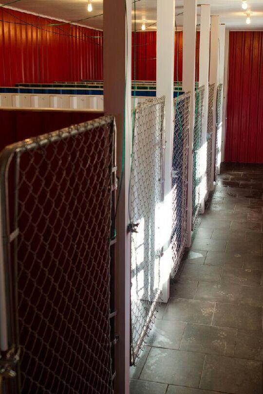 Clifton Royal Dog Boarding Kennels Ltd | 1297 route 845, Clifton Royal, NB E5S 2B7, Canada | Phone: (506) 283-3647
