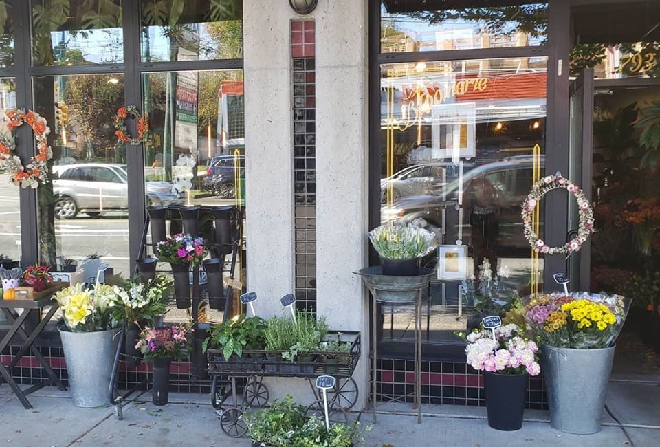 The Bloomerie | 2793 Arbutus St, Vancouver, BC V6J 3Y5, Canada | Phone: (778) 379-7037